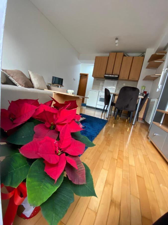 Tea Apartment Skopje Zewnętrze zdjęcie